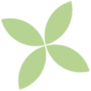 portofolio star green 1