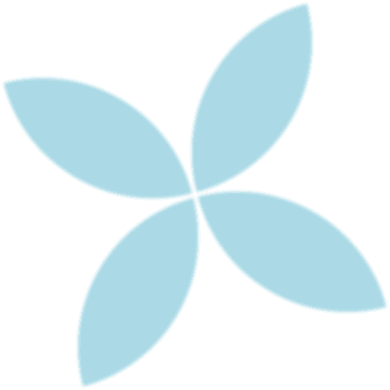 portofolio star blue 1