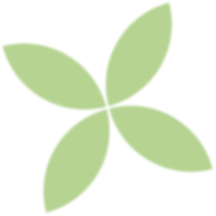 portofolio star green 1