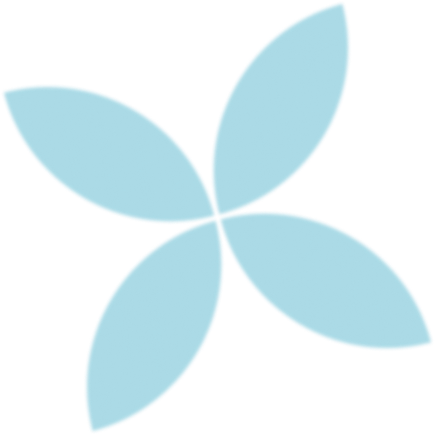 portofolio star cyan 1